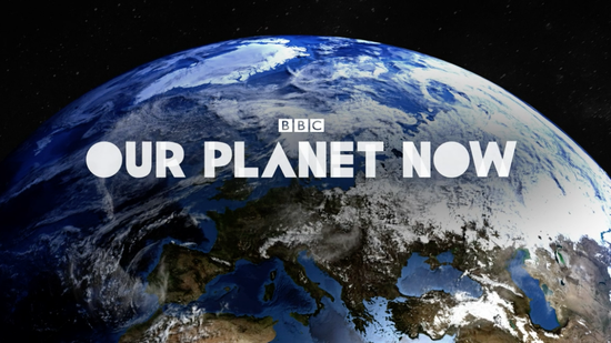 Will we all live in 'Plyscrapers' in the future?